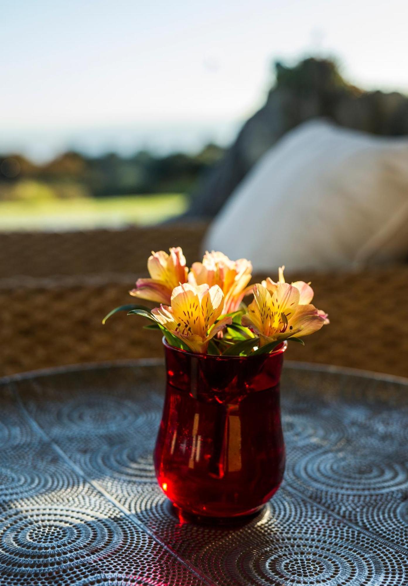 Matapouri & Tutukaka Spectacular Coastal Views- Aroha Luxury Guest Suite Εξωτερικό φωτογραφία